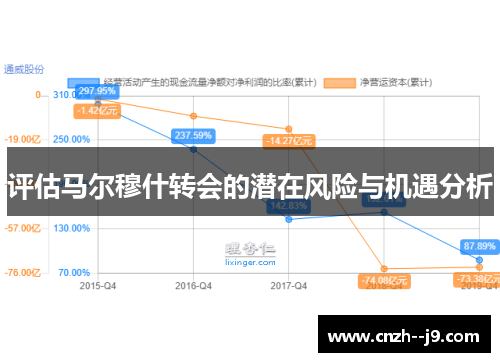 评估马尔穆什转会的潜在风险与机遇分析