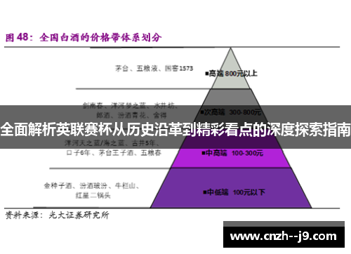 全面解析英联赛杯从历史沿革到精彩看点的深度探索指南